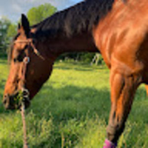 Meet your Posher, Catherine